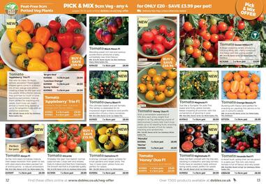 Dobbies leaflet Page 7