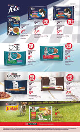 Rossmann gazetka Strona 17