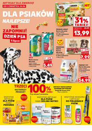 Kaufland gazetka Strona 18