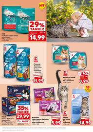 Kaufland gazetka Strona 19