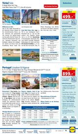 Lidl Reisen Flugblatt Seite 11