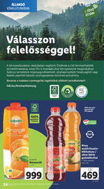 Lidl akciós újság hét 27 Oldal 24
