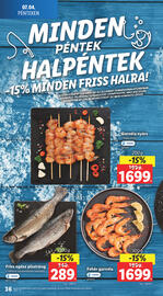 Lidl akciós újság hét 27 Oldal 36