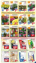 CENTERSHOP Prospekt woche 27 Seite 9