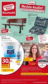 Sonderpreis Baumarkt Prospekt woche 27 Seite 1