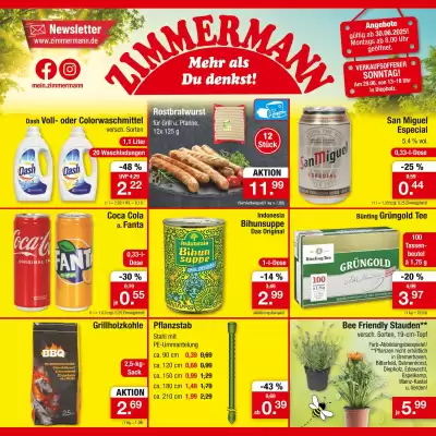 Zimmermann Prospekt (gültig bis 5-07)