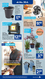 Aldi Süd Prospekt woche 27 Seite 13