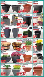 Wreesmann Prospekt woche 27 Seite 10
