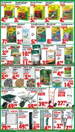 Wreesmann Prospekt woche 27 Seite 5
