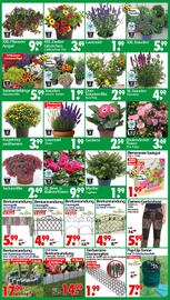 Wreesmann Prospekt woche 27 Seite 6