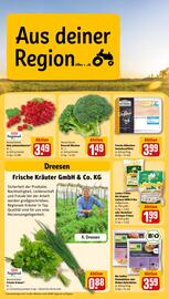 REWE PETZ Prospekt woche 27 Seite 22