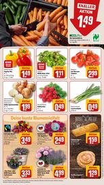 REWE PETZ Prospekt woche 27 Seite 9