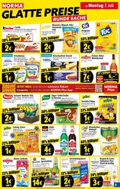 Norma Prospekt woche 28 Seite 10