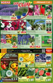 Norma Prospekt woche 28 Seite 13