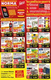 Norma Prospekt woche 28 Seite 2