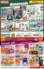 Norma Prospekt woche 28 Seite 6
