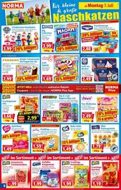 Norma Prospekt woche 28 Seite 9