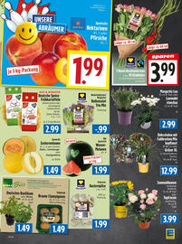 EDEKA Hahner Prospekt woche 27 Seite 5