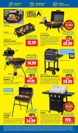 Lidl Prospekt woche 28 Seite 25