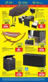 Lidl Prospekt woche 28 Seite 29