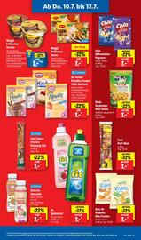 Lidl Prospekt woche 28 Seite 51