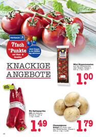 Scheck-in-Center Prospekt woche 27 Seite 14