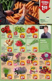 REWE Center Prospekt woche 27 Seite 9