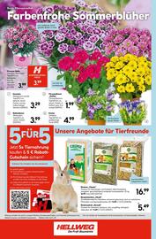 Hellweg Prospekt woche 27 Seite 24