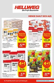 Hellweg Prospekt woche 27 Seite 3