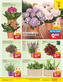 Netto Marken-Discount Prospekt woche 27 Seite 13