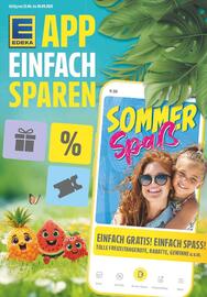diska Prospekt woche 27 Seite 13