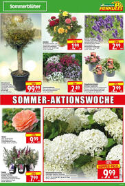 Herkules Baumarkt Prospekt woche 27 Seite 3