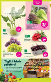 Biomarkt Prospekt Seite 2