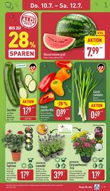 Aldi Nord Prospekt woche 28 Seite 27