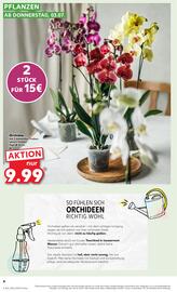 Kaufland Prospekt woche 27 Seite 4