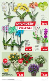 Kaufland Prospekt woche 27 Seite 5