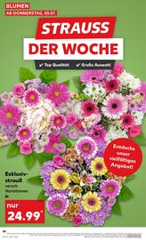 Kaufland Prospekt woche 27 Seite 58