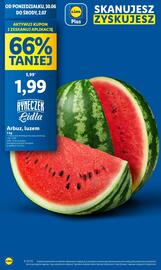 Lidl gazetka Strona 10