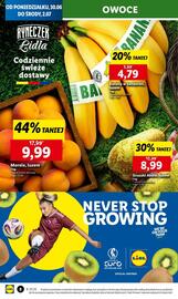 Lidl gazetka Strona 12