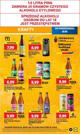 Lidl gazetka Strona 45