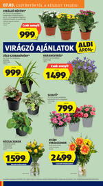 ALDI akciós újság hét 27 Oldal 8