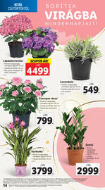 Lidl akciós újság hét 27 Oldal 14