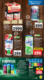 Lidl akciós újság hét 27 Oldal 19