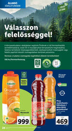 Lidl akciós újság hét 27 Oldal 24
