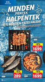 Lidl akciós újság hét 27 Oldal 36