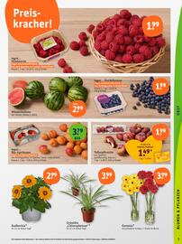 basic Prospekt woche 27 Seite 5
