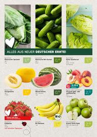 Dornseifer Prospekt woche 27 Seite 6