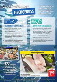 EDEKA Berger Prospekt woche 27 Seite 14