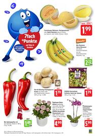 EDEKA Berger Prospekt woche 27 Seite 7