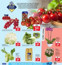 Edeka Stenger Prospekt woche 27 Seite 7